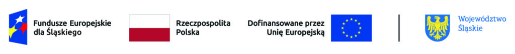 FE-SL-kolor-poziom-br-1