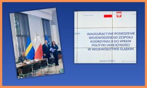 Dyrektor TZN w Wojewódzkim Zespole Koordynacji ds. Polityki Umiejętności - obrazek wyróżniający