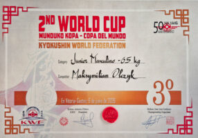Maksymilian Olczyk - karate kyokushin czerwiec 2026-6