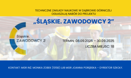 Projekt „Śląskie. Zawodowcy 2”